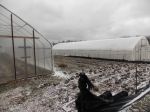 Winter 2013