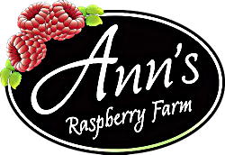 New%2520Anns%2520Logo%2520ver2_edited_ed